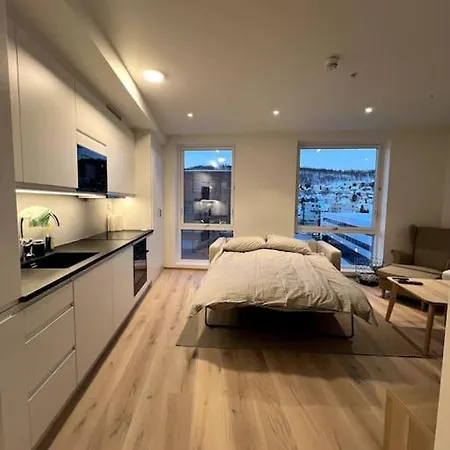 Ny Eksklusiv Studioleilighet Apartament *