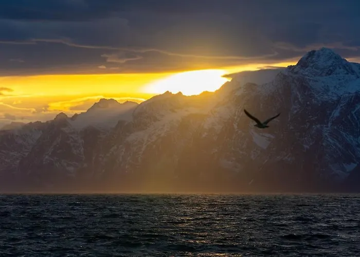 아파트 Ny Eksklusiv Studioleilighet *