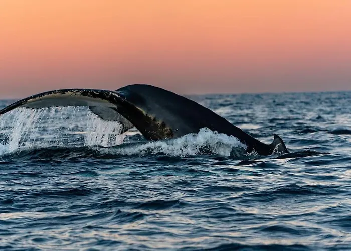 Ny Eksklusiv Studioleilighet 아파트 *